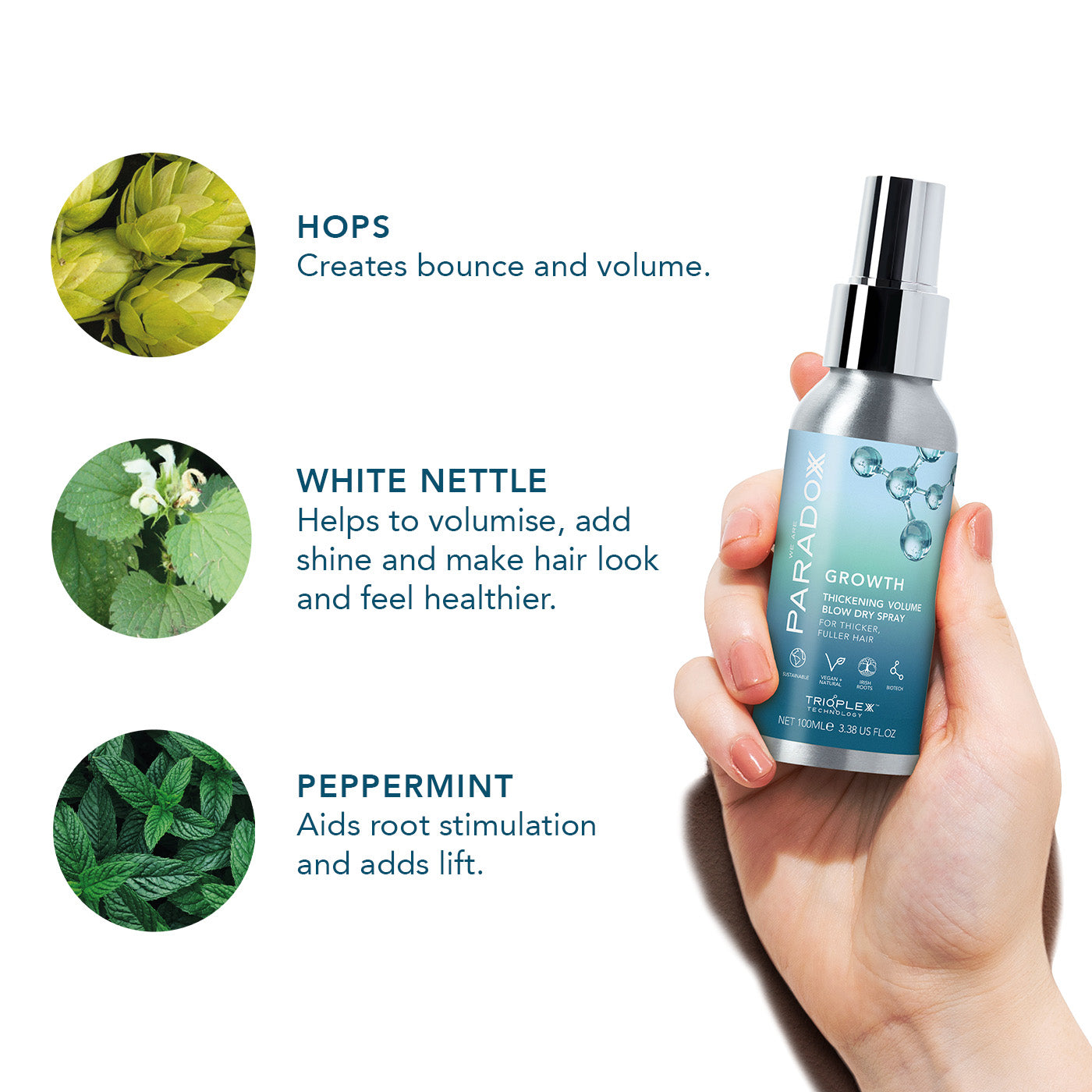 Thickening Volume Blow Dry Spray