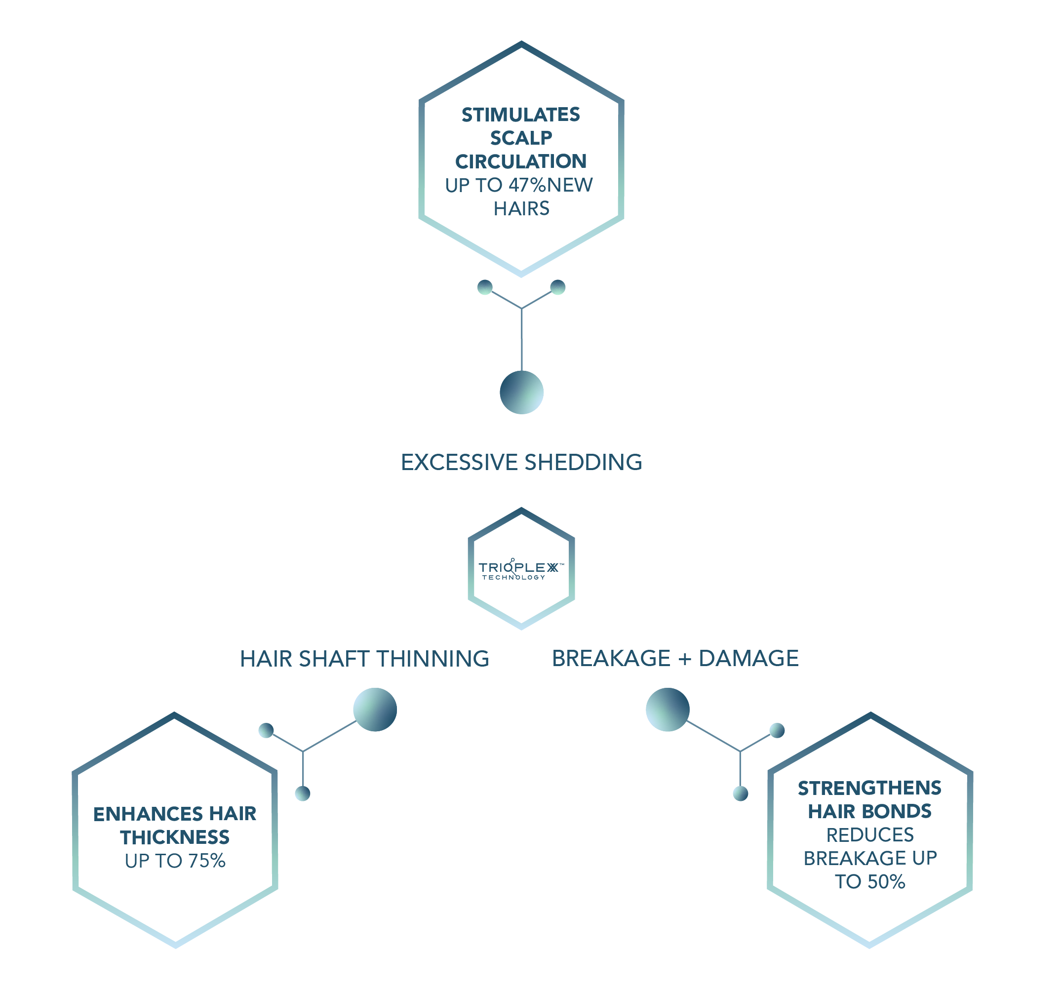 Advanced Scalp Serum